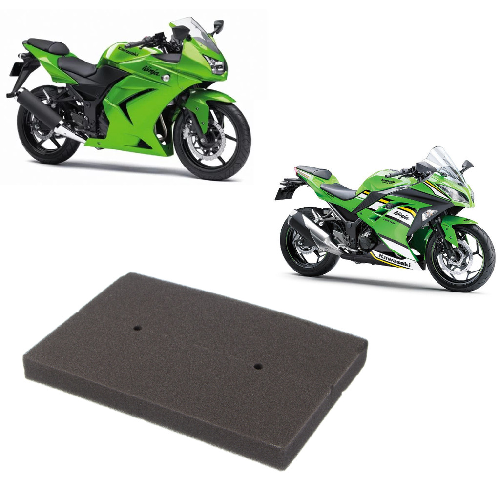 Filtro De Ar NINJA 250 R 2009 2010 2011 2012 ORIGINAL EIS